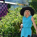 ���� ����, ������ - ��������� 8 ������� 2017 � ������ ���� ����������