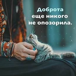 ��������� � ��� � ��� - 31 ������� 2017 � 07:16