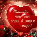 ���� �������, ������, 49 ��� - ��������� 21 ������ 2017 � ������ ���� ����������