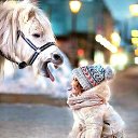  Vidmantas, , 52  -  7  2017    