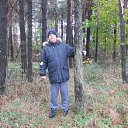 ���� �����, ����������, 37 ��� - ��������� 29 ������� 2017 � ������ ������600�