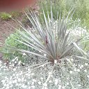 ���� ��������, ������� - ��������� 21 ��� 2017 � ������ ������..�