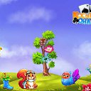 ���� �������, ������ - ��������� 25 ������� 2017