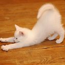 ���� ������, �����-���������, 44 ���� - ��������� 23 ��� 2017 � ������ ���� ����������