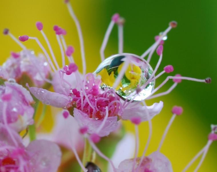  ! - 26  2017  10:34 - 9