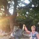 ���� �����, ����, 53 ���� - ��������� 2 ������� 2017 � ������ ���� ����������