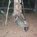 ���� �����, �����-��������� - ��������� 28 ���� 2017 � ������ ���� ����������