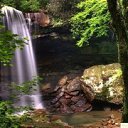 ���� ����, ������, 61 ��� - ��������� 31 ���� 2017 � ������ ������ ��������