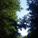 ���� �����, �����, 63 ���� - ��������� 14 ���� 2017 � ������ ���� � ���� ������