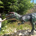  , -, 37  -  14  2017    