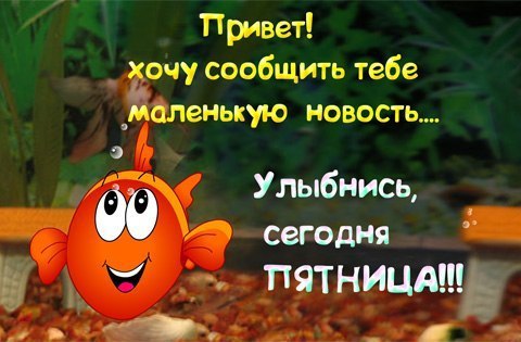 ������� ��� ��� ����� ������ ��������, ������� �� ����� ����� ���������� ��������. � ������� ������ ...