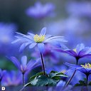 ���� �akp�&uacute; ��a��, ����������, 26 ��� - ��������� 15 ������� 2017