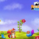 ���� ���������, ���������, 41 ��� - ��������� 20 �������� 2017 � ������ �������� �������-�������