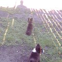 ���� �������, ����������� - ��������� 12 ���� 2017 � ������ ������� ��.�