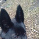 ���� �������, ����������� - ��������� 3 ������� 2017 � ������ ������� ��.�