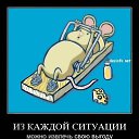 ���� ������, ������������ - ��������� 7 ������� 2017 � ������ ��������������