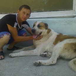 �������, ���, 43 ����