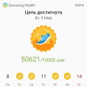 ���� ���������, ����, 40 ��� - ��������� 24 ���� 2017 � ������ ������ ��������
