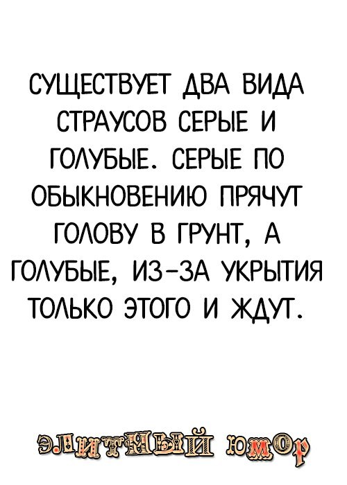   - 31  2017  17:42
