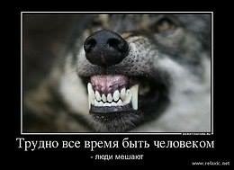 ���� �������, �����-���������, 50 ��� - ��������� 17 �������� 2017