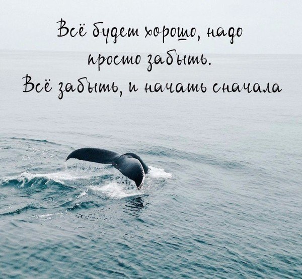      - 23  2017  06:21