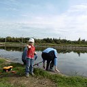 ���� ���������, ����������, 51 ��� - ��������� 28 ������� 2017 � ������ ���� ����������