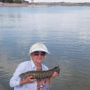 ���� ����, ������ - ��������� 11 ������ 2017 � ������ ���� ����������