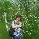 ���� ������, ����� - ��������� 20 ������� 2017 � ������ �� � ��� ���