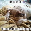 ���� ��������, ������� - ��������� 12 ���� 2017