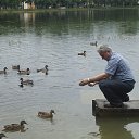 ���� ������, �����, 66 ��� - ��������� 20 ���� 2017 � ������ �� � ��������