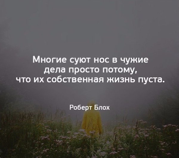    - 6  2017  11:42