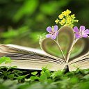 ���� �������, ����� - ��������� 30 ������� 2017 � ������ ������ ��������