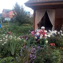 ���� �����, �����������, 44 ���� - ��������� 1 ������� 2017 � ������ ���� ����������