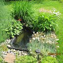 ���� �����, ������, 62 ���� - ��������� 23 ���� 2017