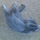 ���� �����, ������, 62 ���� - ��������� 23 ���� 2017