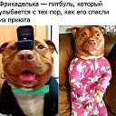 ���� �������, �����-��������� - ��������� 10 ���� 2017 � ������ ������ ��������