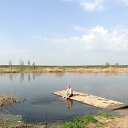 ���� �����, ���������, 49 ��� - ��������� 20 ���� 2017 � ������ ���� ����������