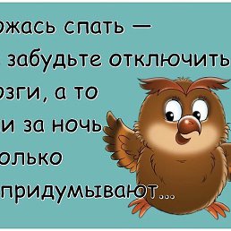 ���� �������, ������-��-���� - ��������� 21 ������� 2017