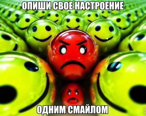  -   - 11  2017  17:03