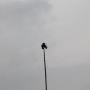 ���� ���������, ������, 47 ��� - ��������� 4 ������� 2017 � ������ ���� ����������