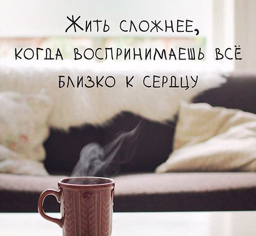   -  ,  -  - 15  2017  15:15