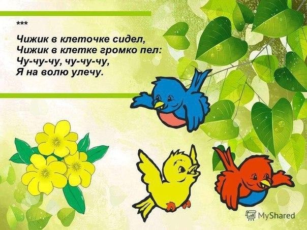 �������������� ����� - 5