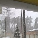 ���� �������, �����, 48 ��� - ��������� 19 ������ 2017 � ������ ���� ����������