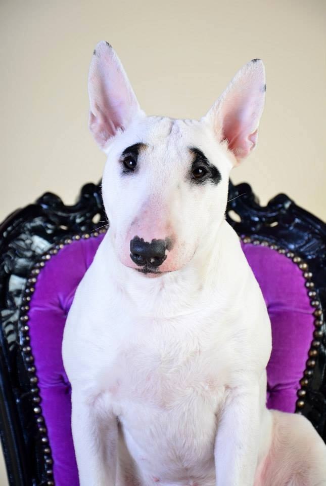 Доброе утро, Буле-Городок!