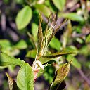 ���� ������, �������, 59 ��� - ��������� 7 ��� 2017 � ������ ������ ��������