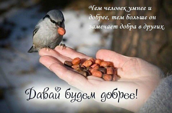 ))).Мир спасут доброта и любовь!Говорил всем известный кумир:Красота..."Красота спасёт ...
