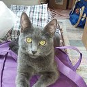 ���� �����, ����, 59 ��� - ��������� 30 ������� 2017