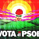  , , 59  -  16  2017     -Ȼ