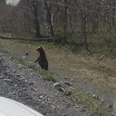 ��� ���? �� ������� ���� ����������