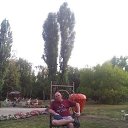 ���� �������, ������� �����, 51 ��� - ��������� 7 �������� 2017 � ������ ���� ����������